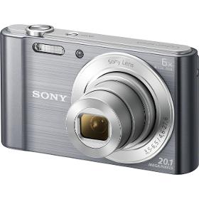 Kompaktní fotoaparát SONY DSC-W810S